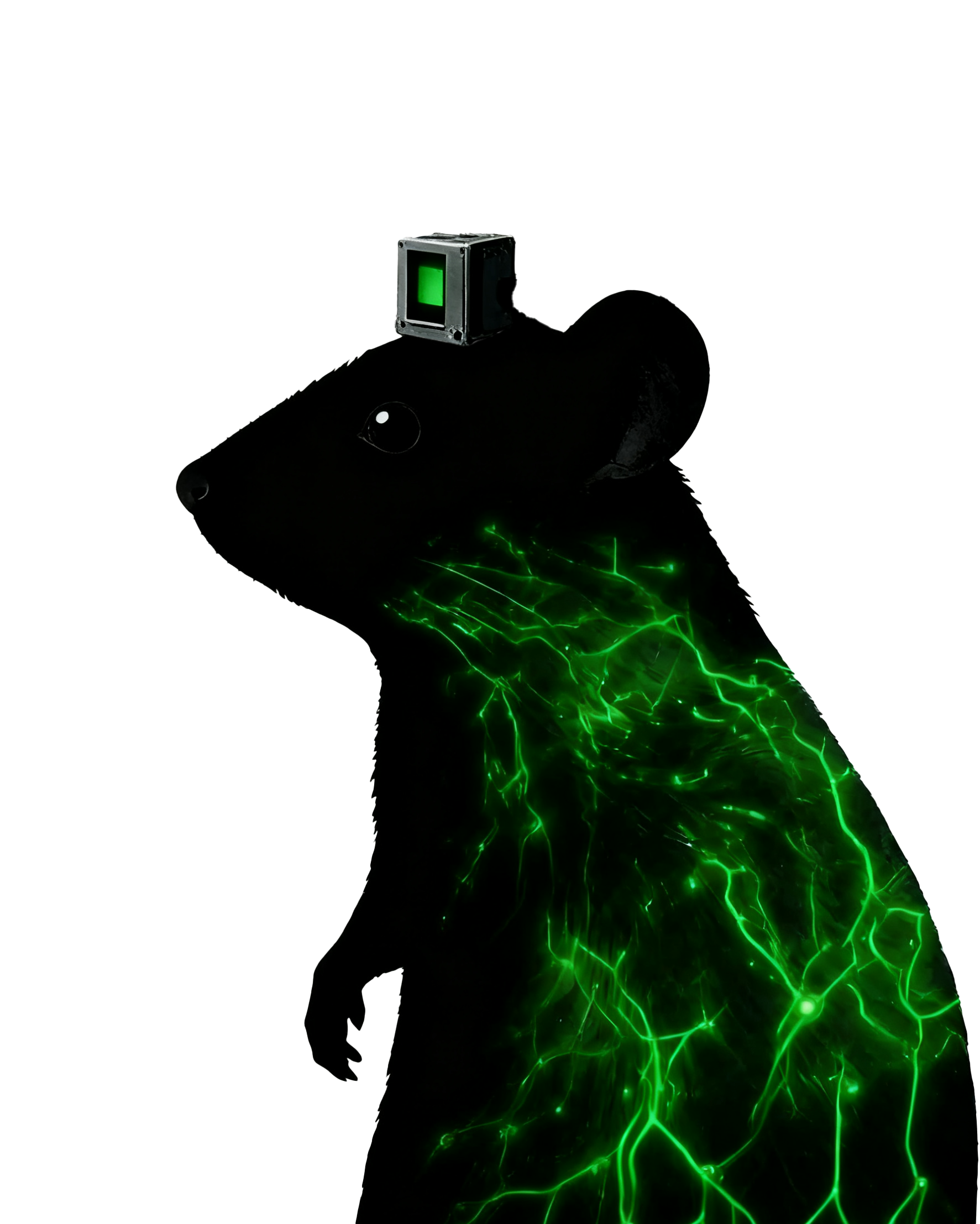 DNA-Based Neural Processors